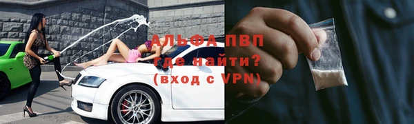 СК Белокуриха