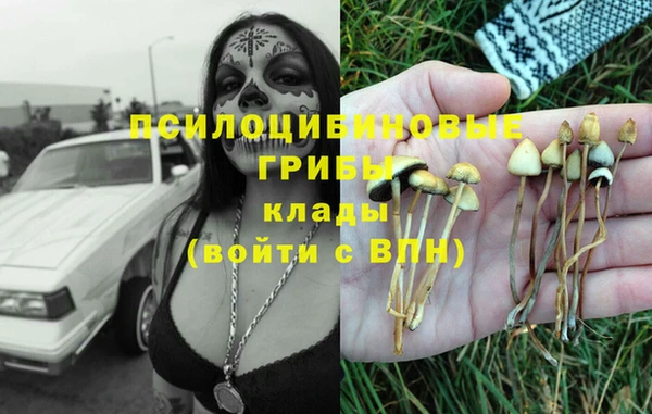 СК Белокуриха