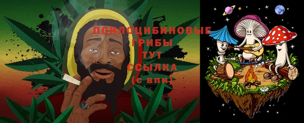 СК Белокуриха