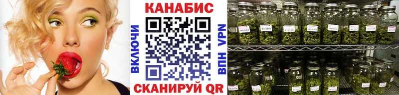 shop формула  где продают наркотики  Волосово  Шишки марихуана индика 