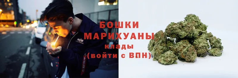 Шишки марихуана White Widow  Волосово 